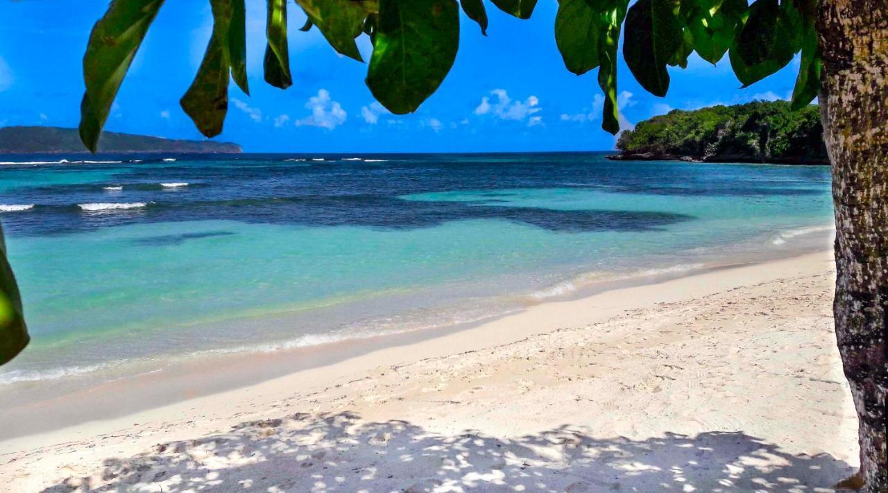 Jasmine La Playita - Ocean Front Apartment Las Galeras Ngoại thất bức ảnh