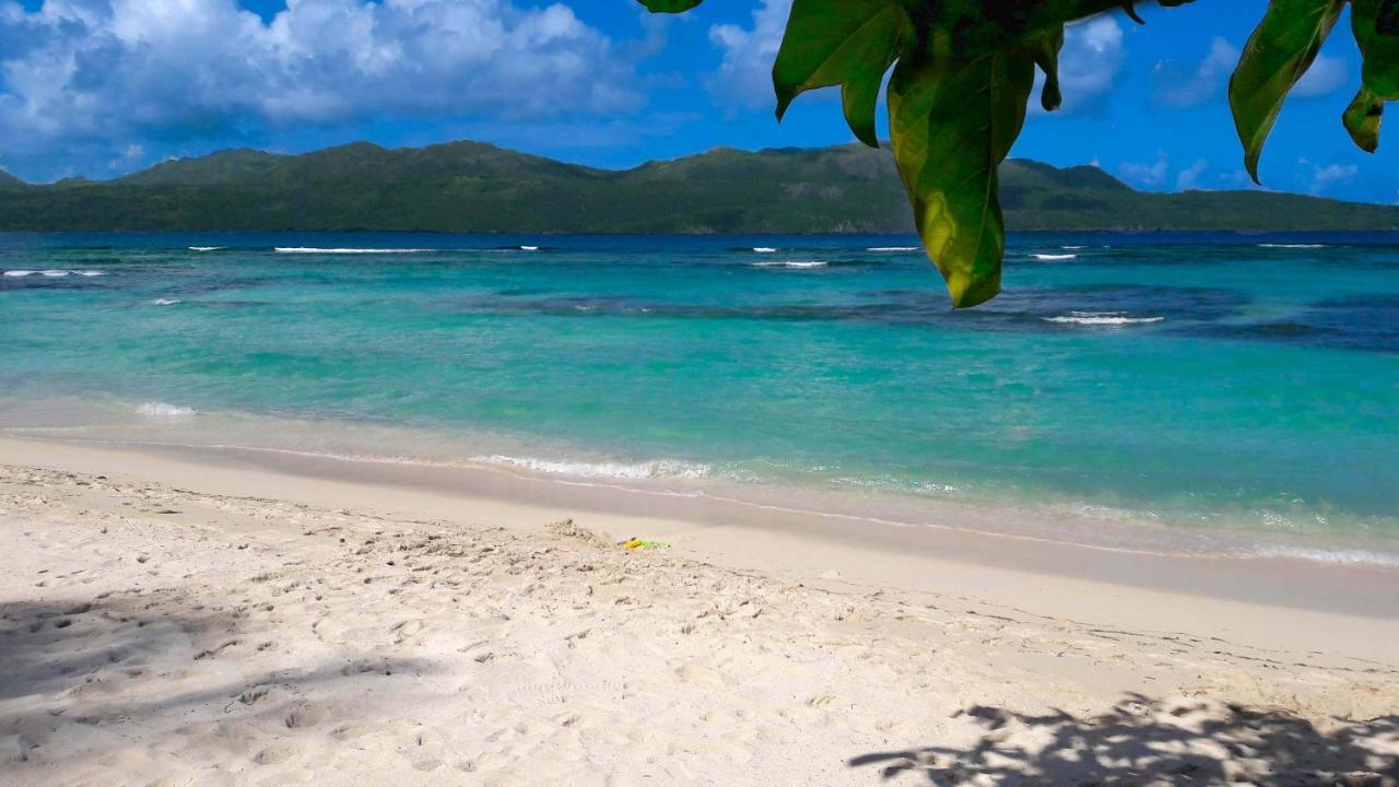 Jasmine La Playita - Ocean Front Apartment Las Galeras Ngoại thất bức ảnh