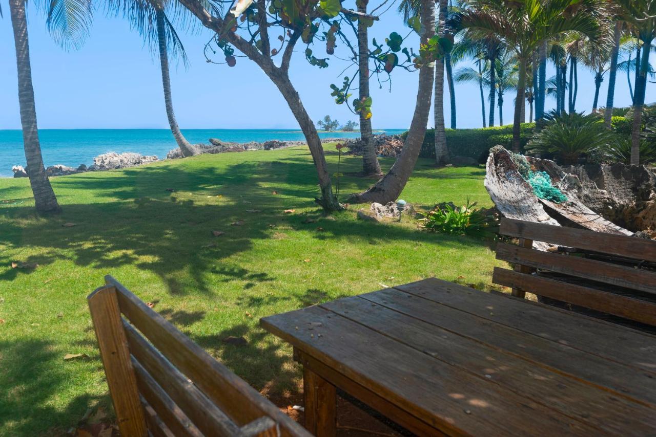 Jasmine La Playita - Ocean Front Apartment Las Galeras Ngoại thất bức ảnh